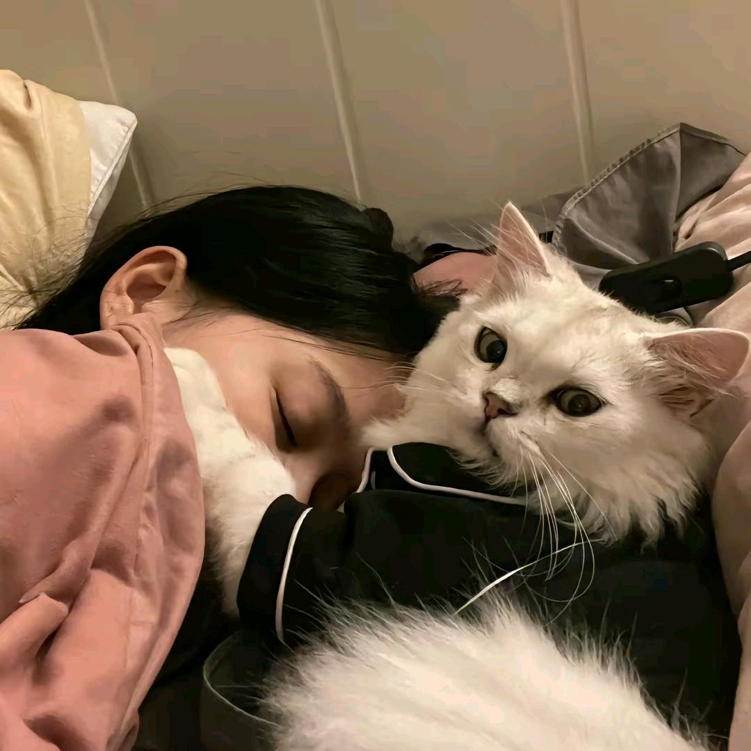 ⌯yᴗan<⌯ಣ