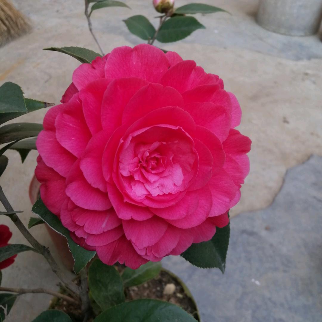 感恩遇见，（拒绝私聊）