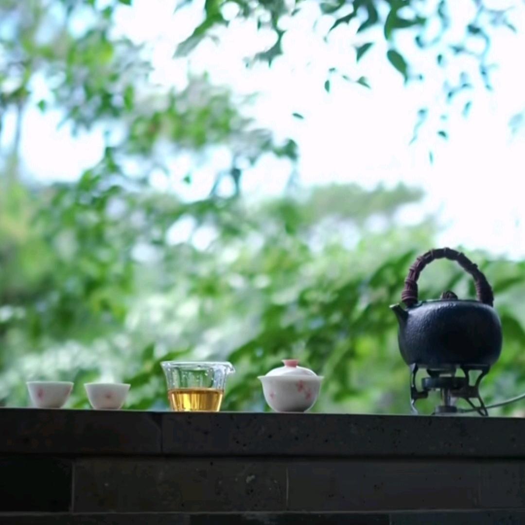 香茶-天海