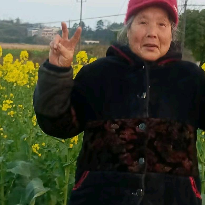 淑