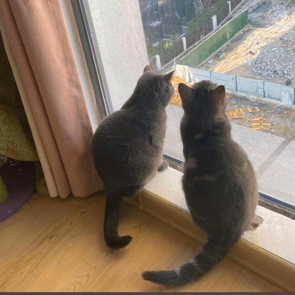 早点睡
