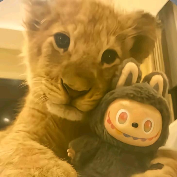 多往城市走一走^