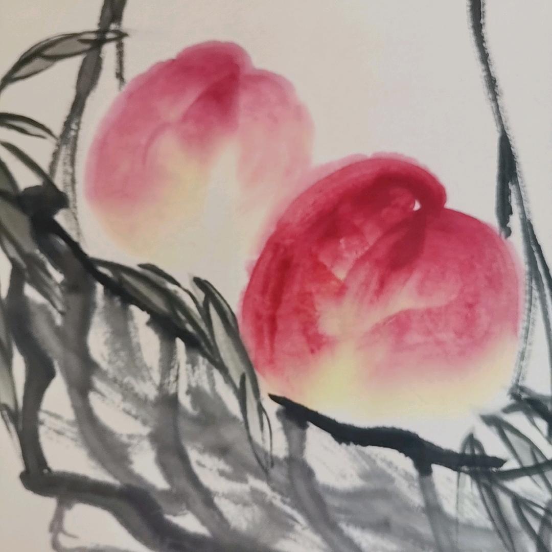 芝麻开花🌸🌸开心果