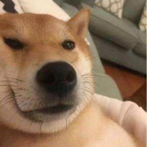 来财（西普大陆）