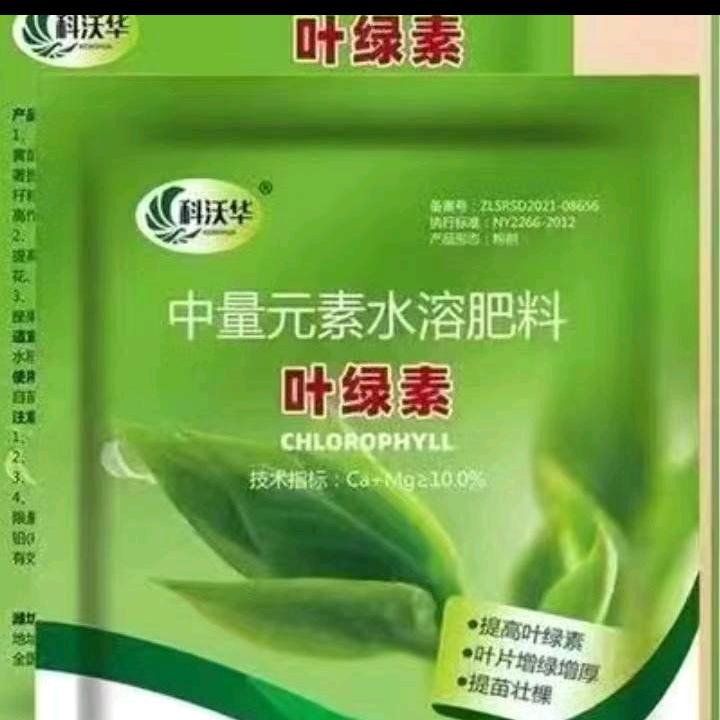 人在世上走一回