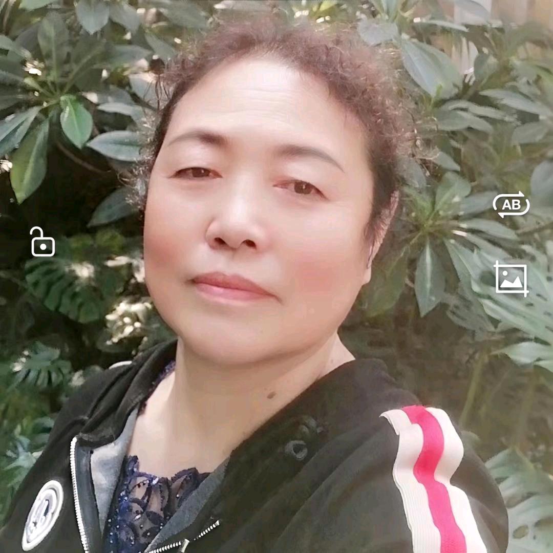 木羽自媒体