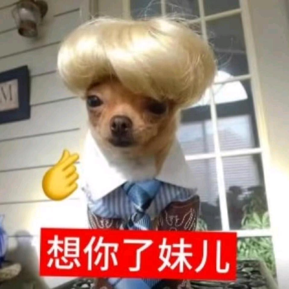 91级敏攻系道观斗罗