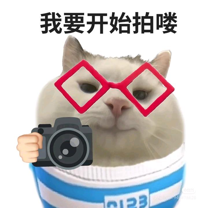 龙川哦