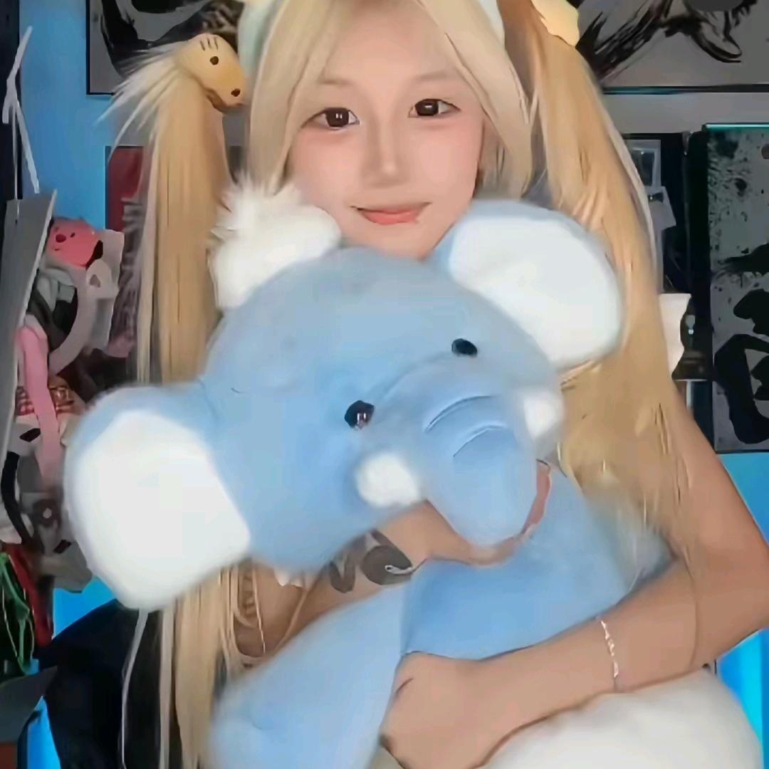喵喵(*´I`*)