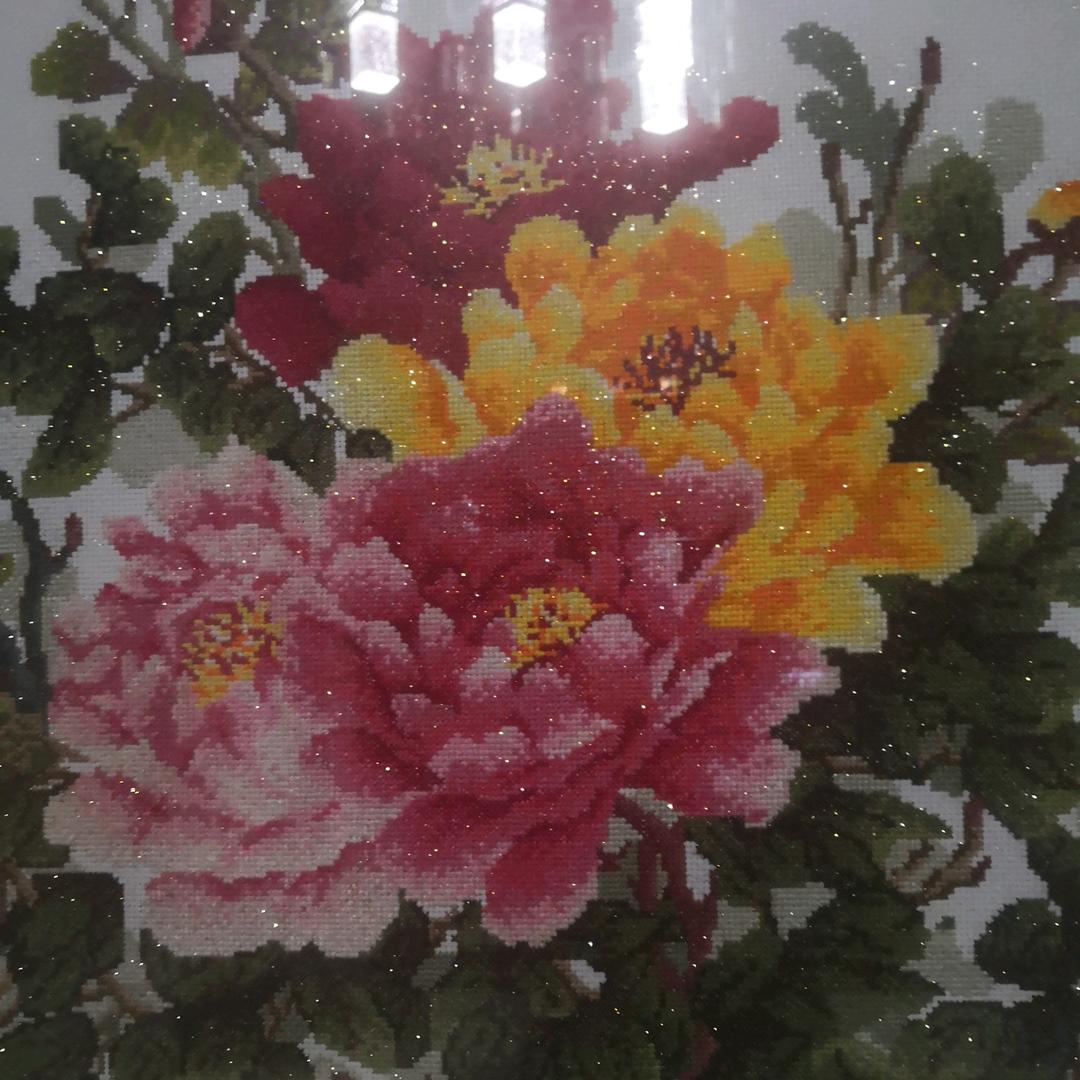 萍姐⁰¹³¹