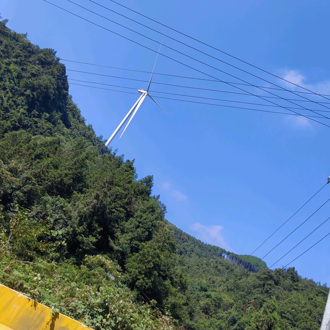 收长发的小付