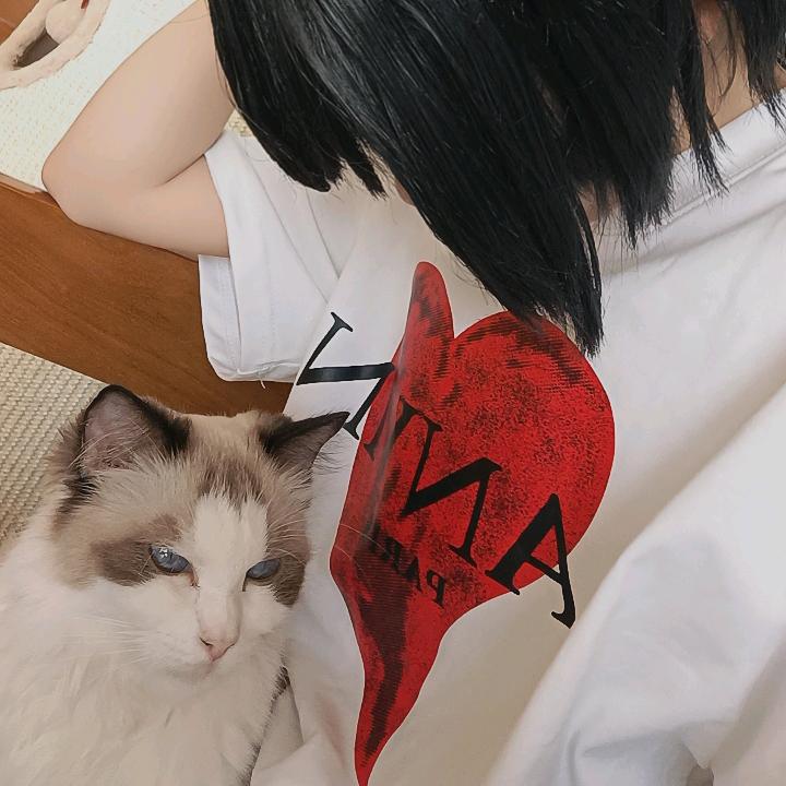 水煮菜