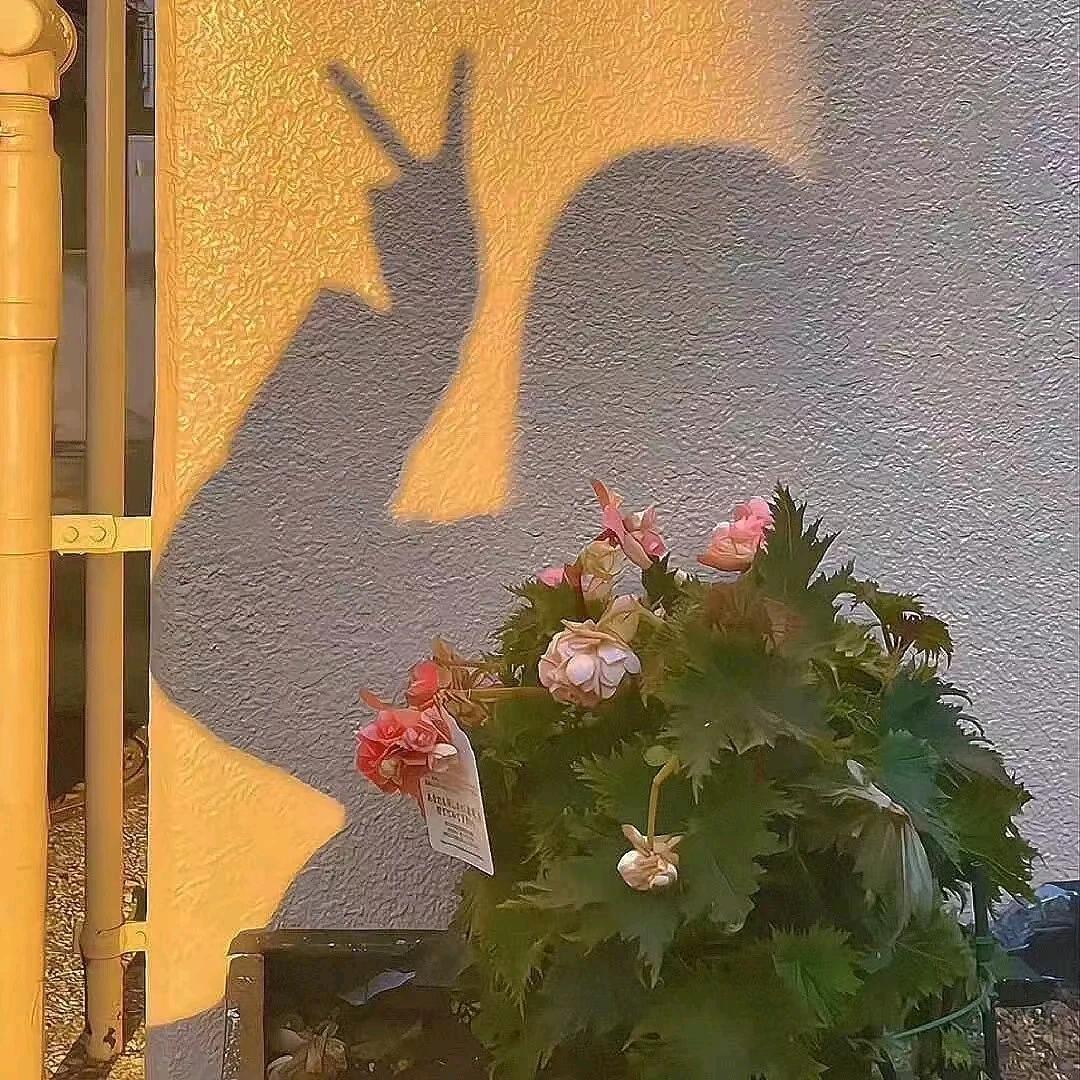 一块陈皮糖