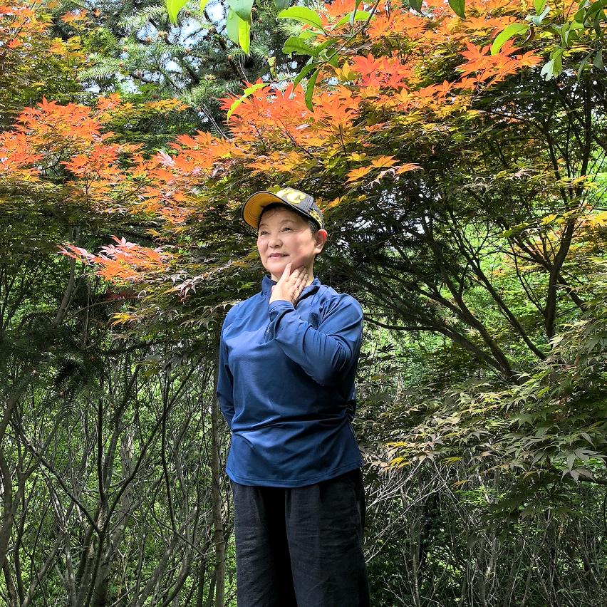 老朱