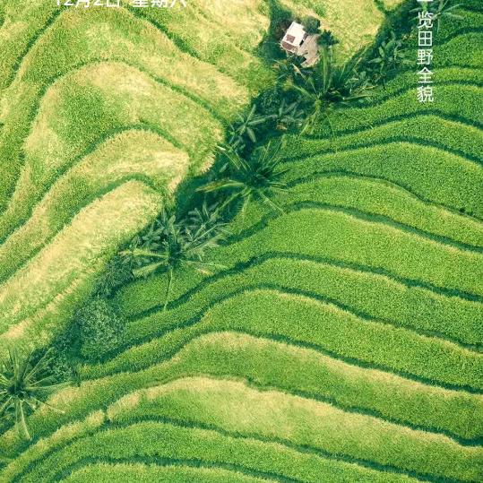 错把爱情当深情