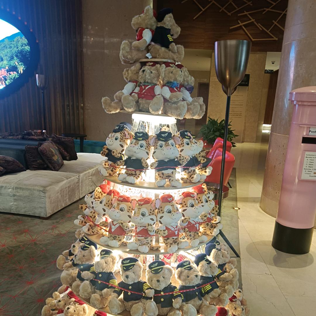 任丽