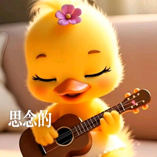 碰花碰草别碰情
