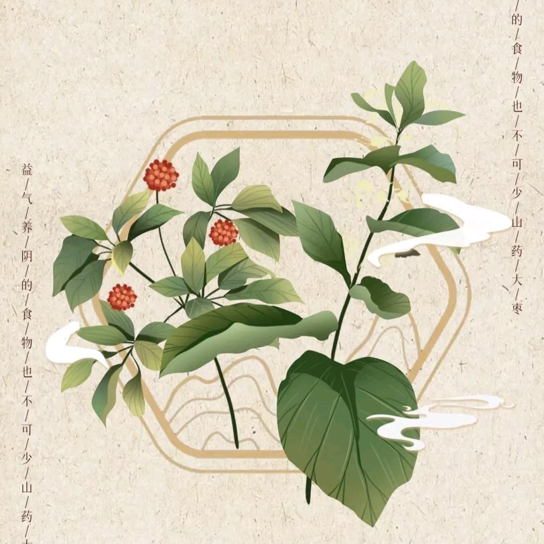 刘老师说养生
