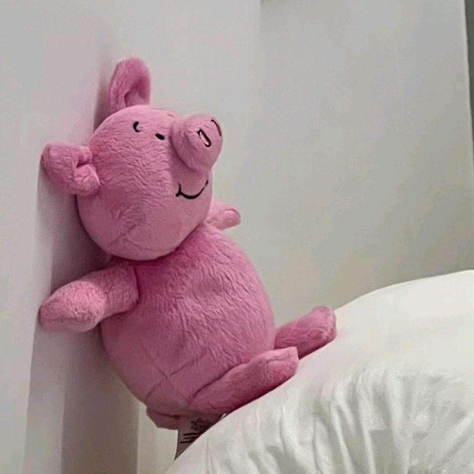 搬家打包一站式🌟