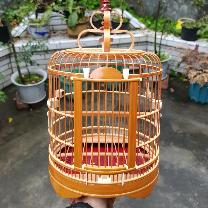 川笼—曹宇廷