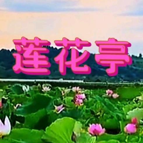 莲花亭忆江南