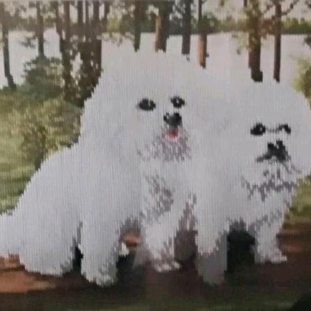 在水一方