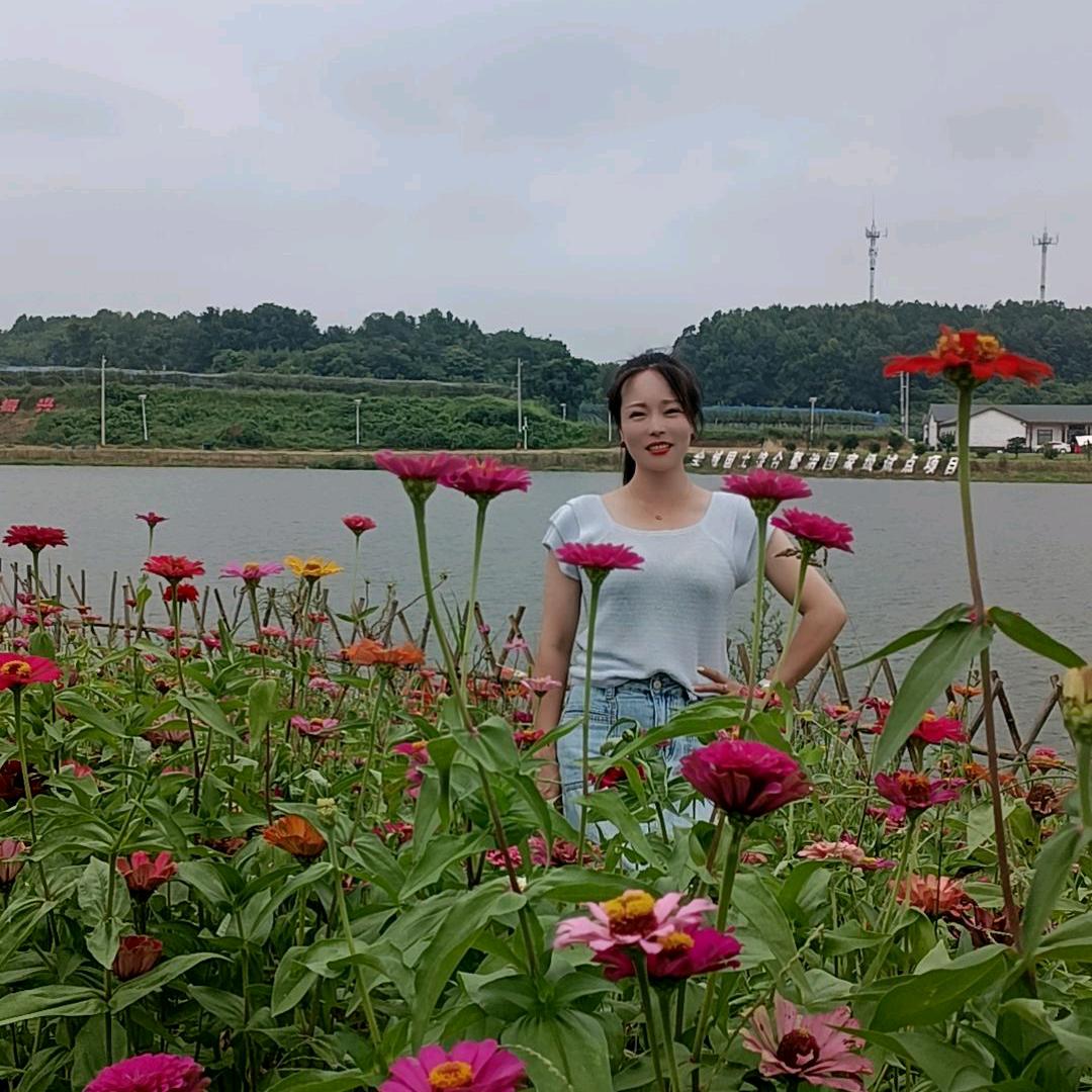 随遇而安