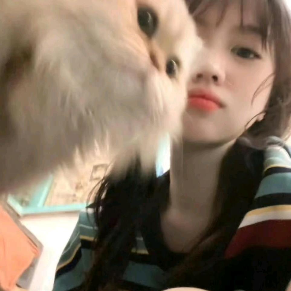 晁