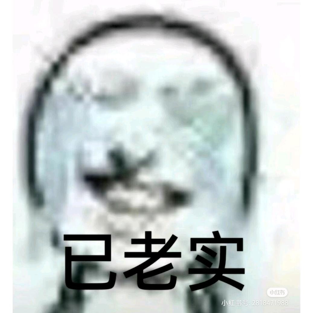 大人，我真老实了