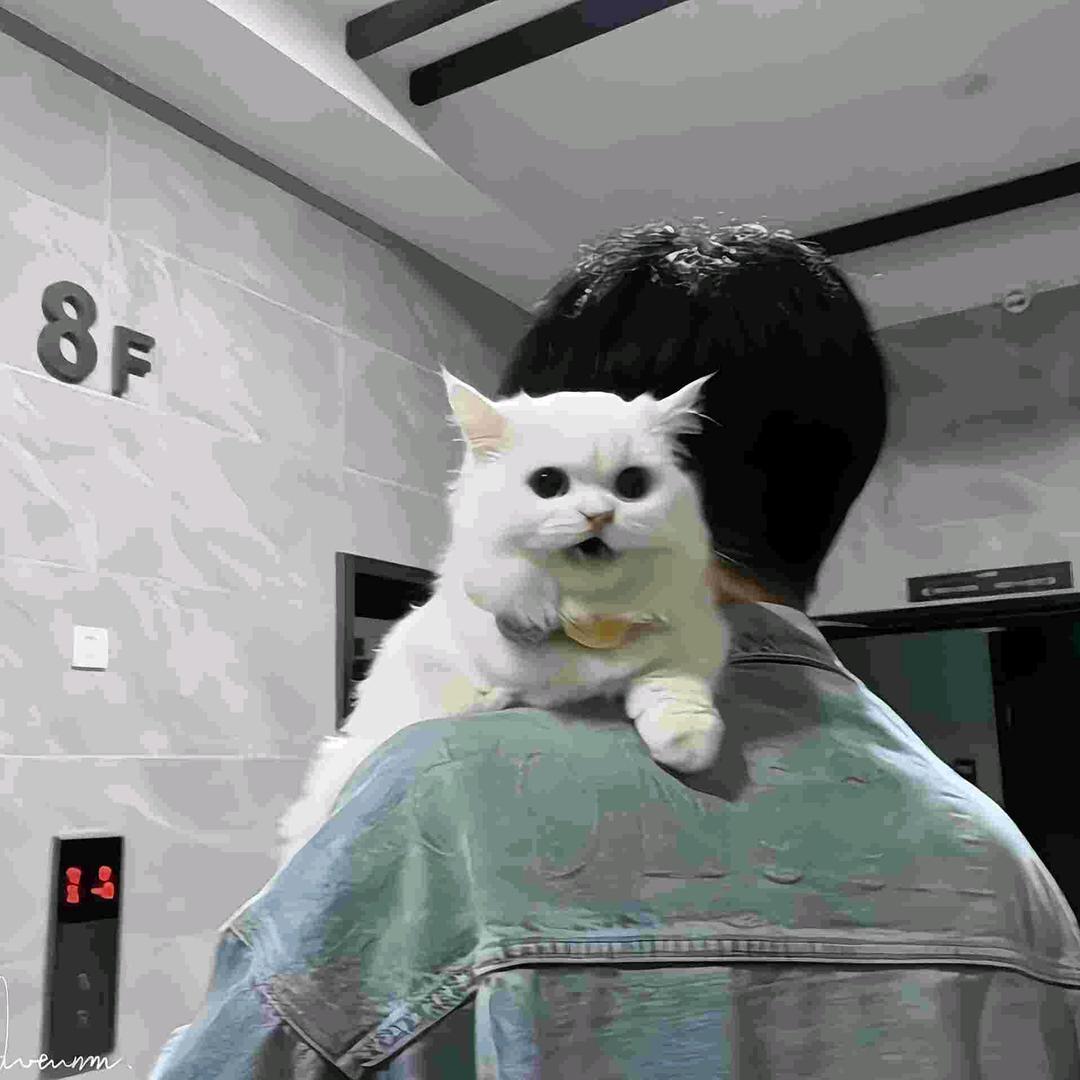 逆.头像