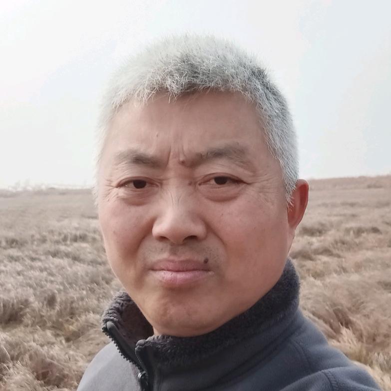 素老虎谈国际