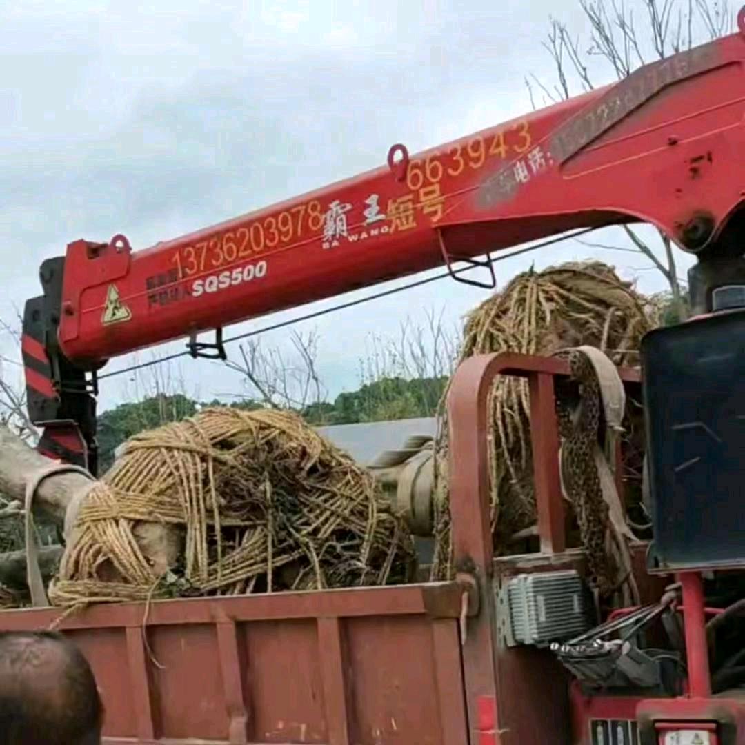 随车吊，胡德奎