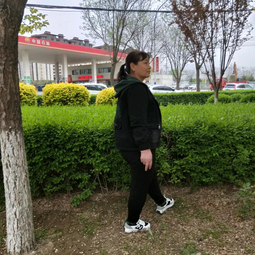 冰山雪莲