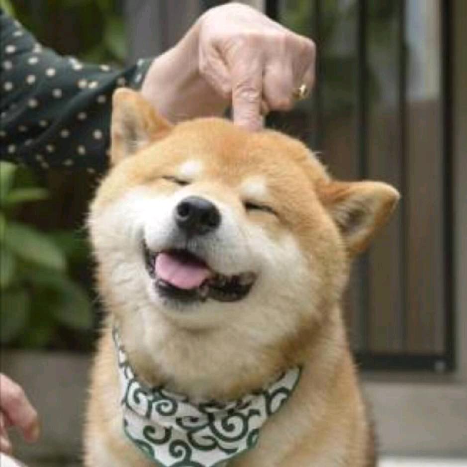 偶尔失眠