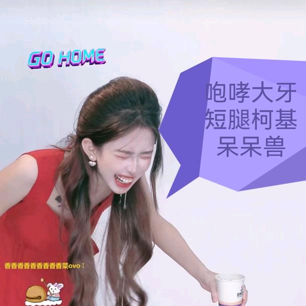 咆哮呆呆兽②号🐳