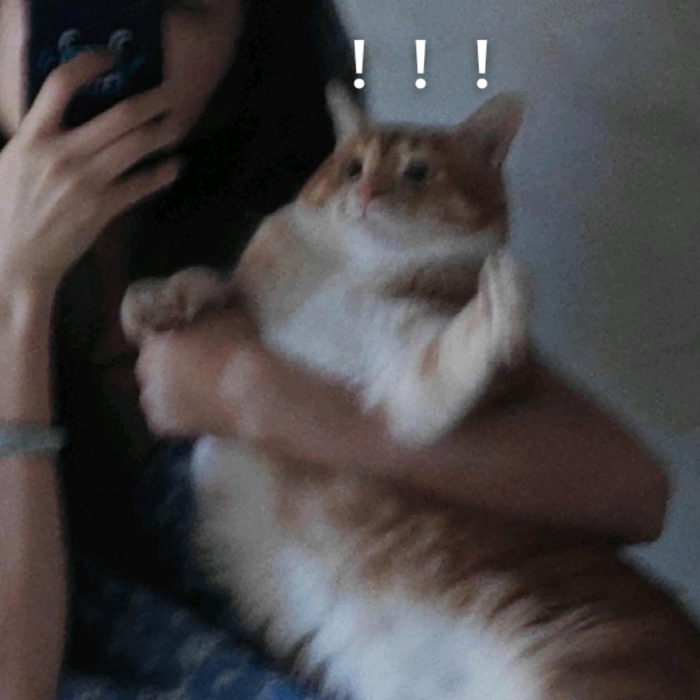 迟修