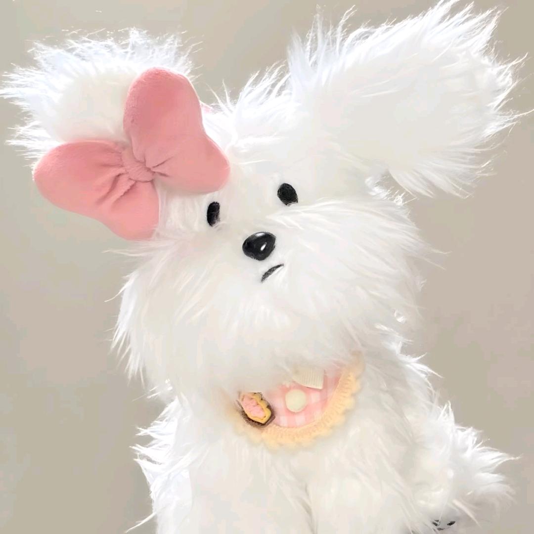 貳肆