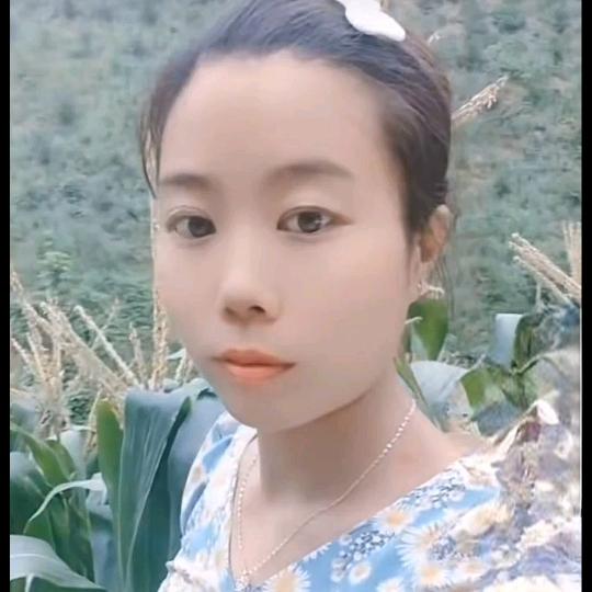 小茶妹
