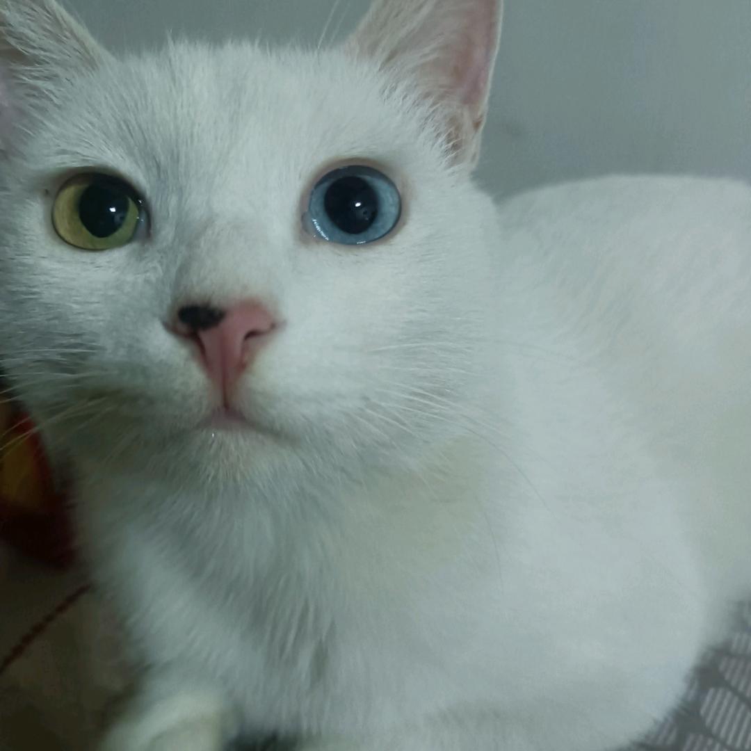 小事靠自己，大事靠大家。