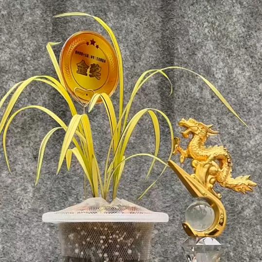 艺草资源