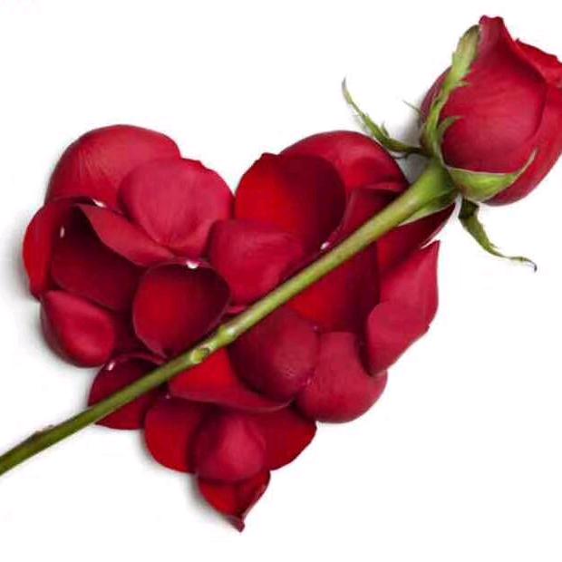 带刺的玫瑰🌹