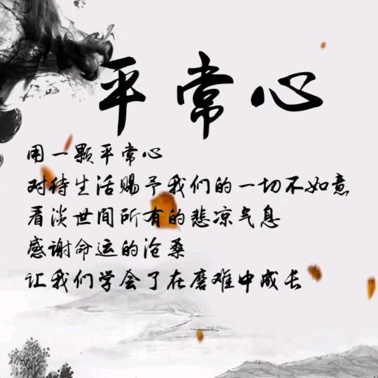 影子