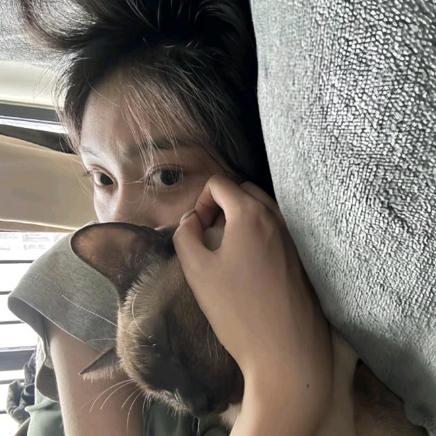 桃汁汽水