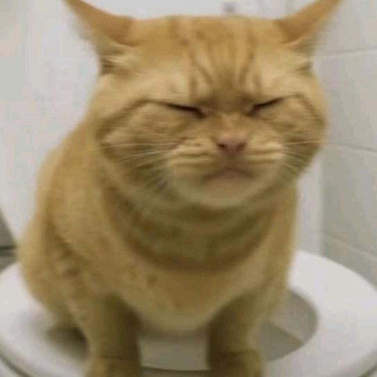 keke.头像
