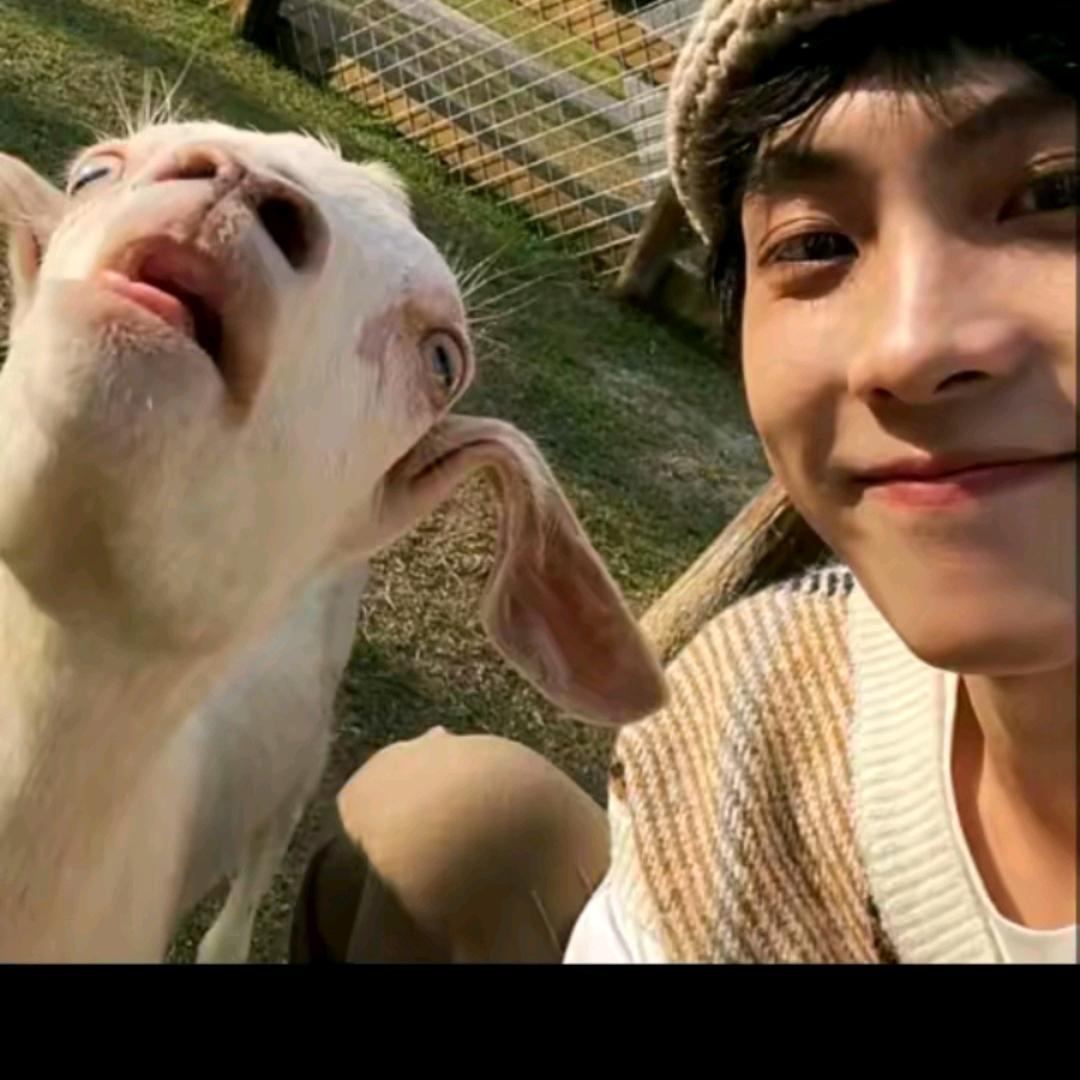 上大路一起抓牛头