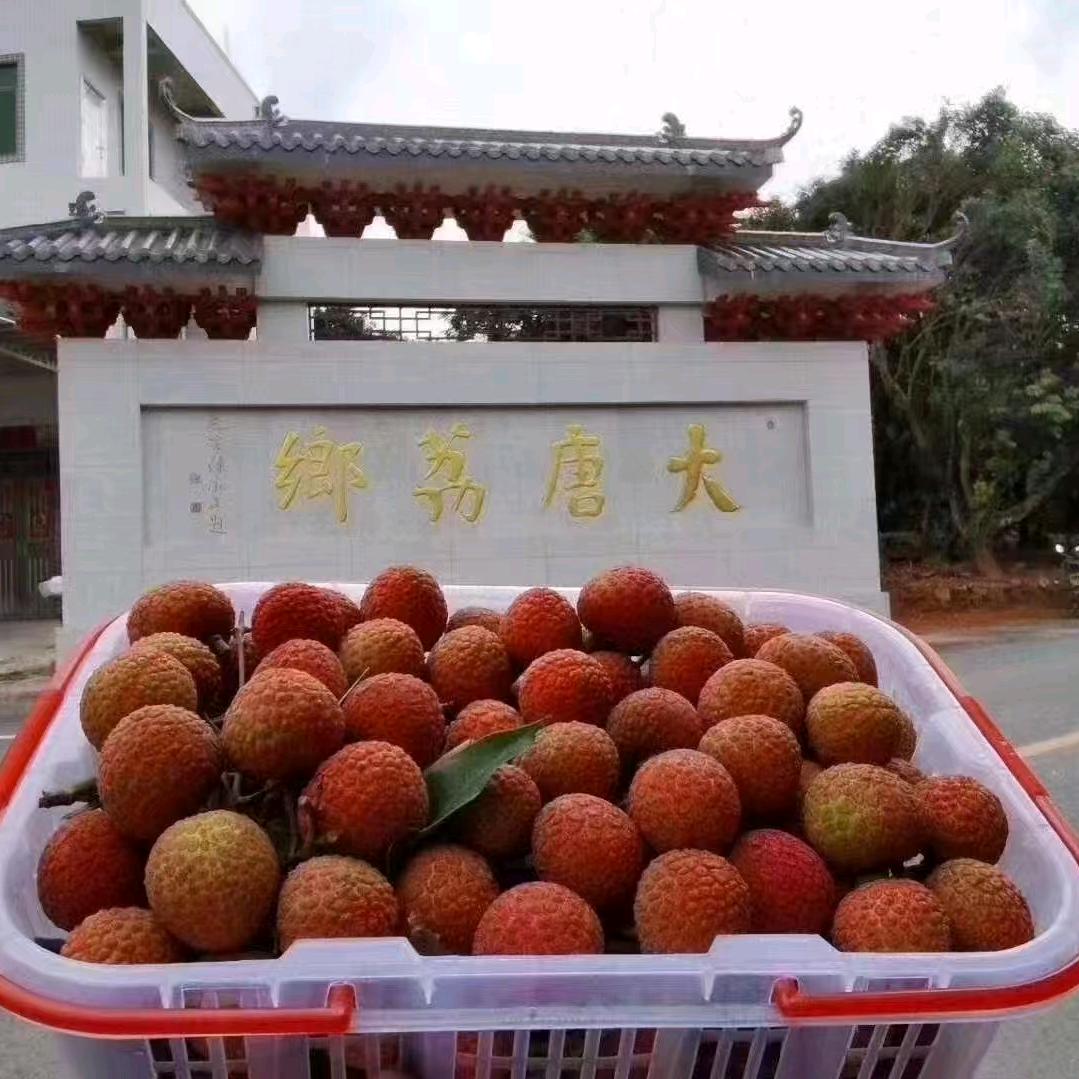 高州连氏果业
