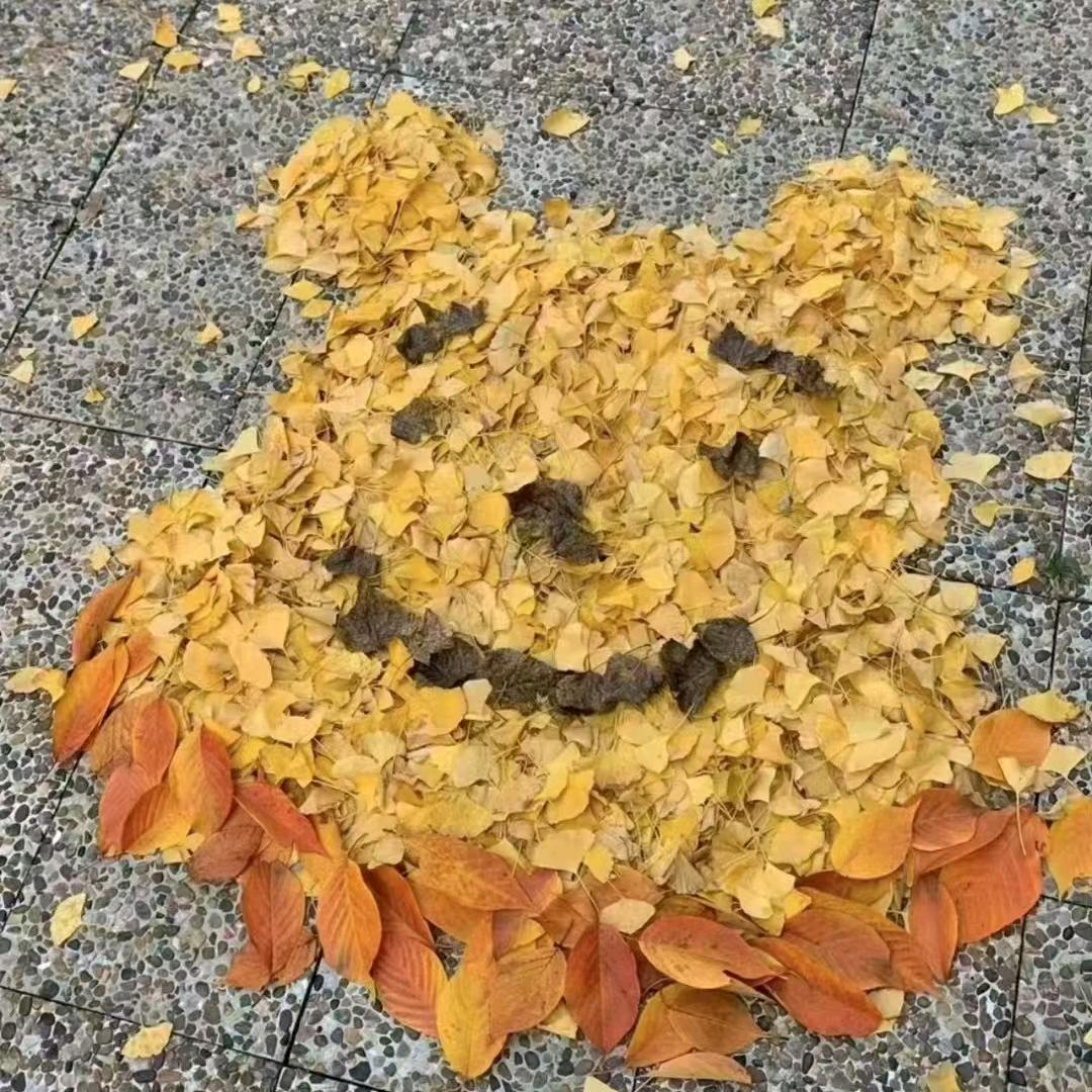 悦亮❃.