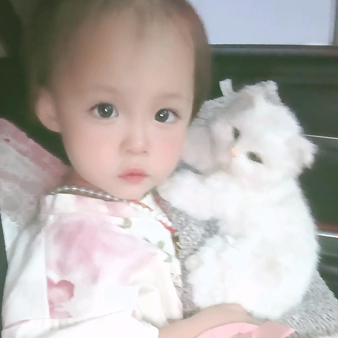 ʕ萌萌的ᴥ•ʔ۶