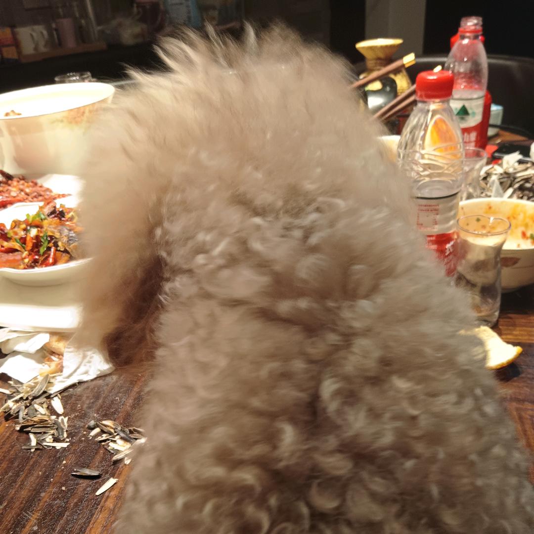 先森杨