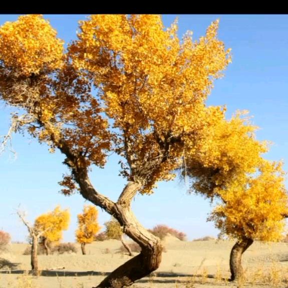 (ʕ•̫͡•ʔ新❤ʕ•̫͡起点